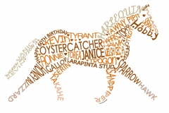 Lesley Jeffs 01192135