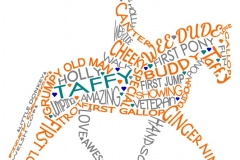 Nicola McQueen 02192155